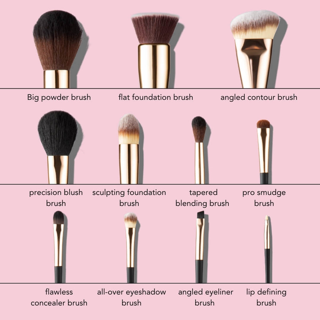 Aria Pro Makeup Brush Set